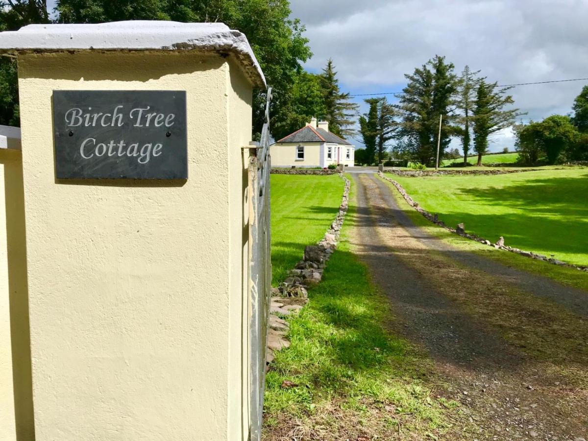 Birch Tree Cottage Westport Exterior photo